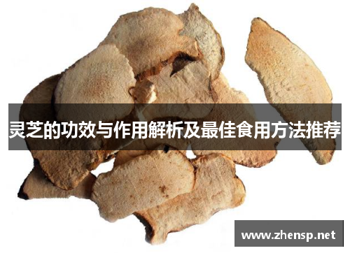 灵芝的功效与作用解析及最佳食用方法推荐