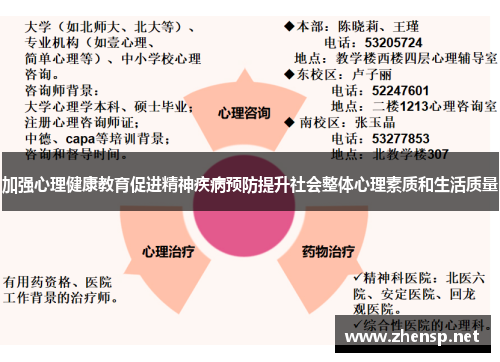 加强心理健康教育促进精神疾病预防提升社会整体心理素质和生活质量