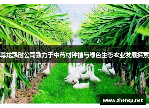 尊龙凯时公司致力于中药材种植与绿色生态农业发展探索