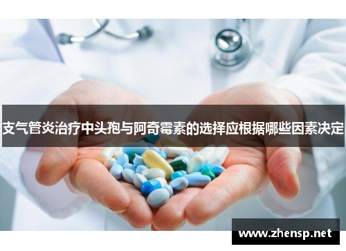 支气管炎治疗中头孢与阿奇霉素的选择应根据哪些因素决定