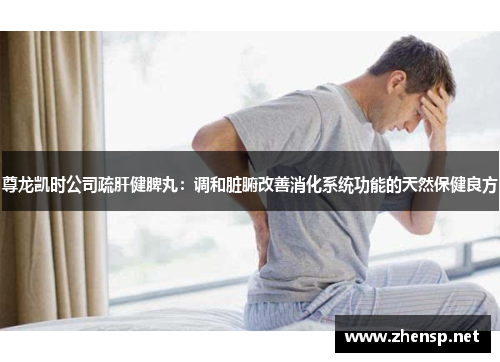 尊龙凯时公司疏肝健脾丸：调和脏腑改善消化系统功能的天然保健良方